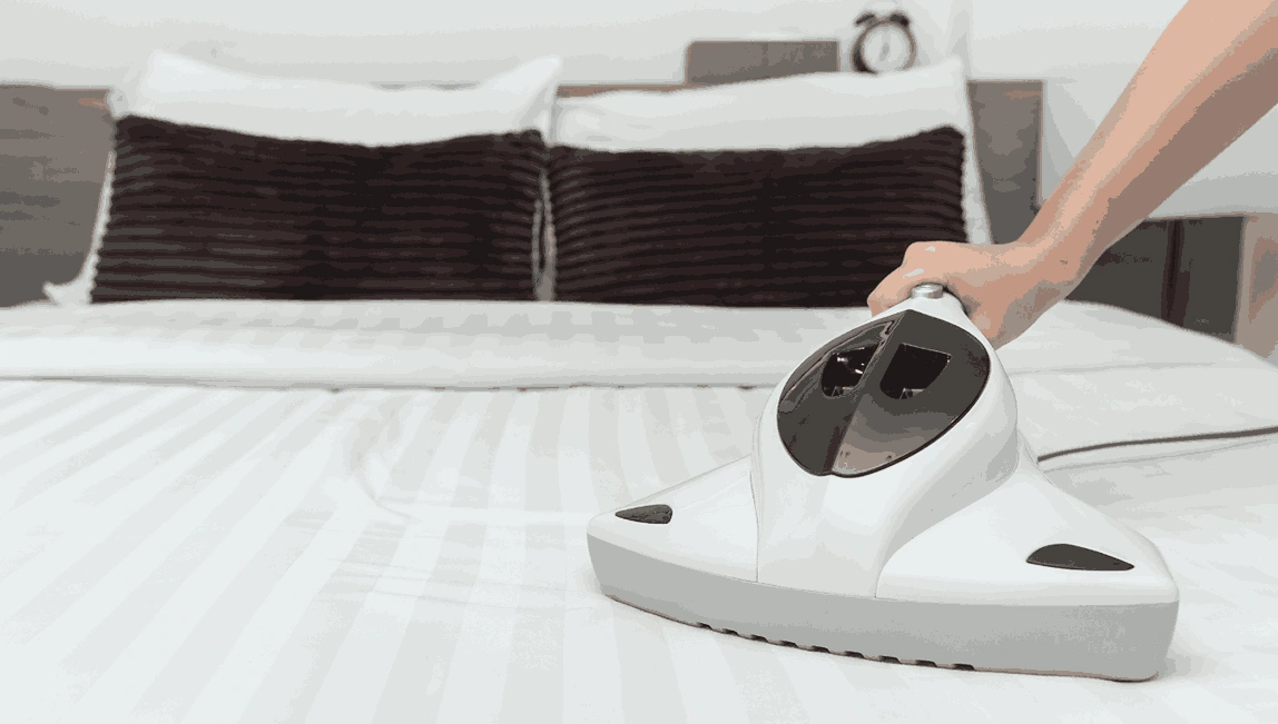 Professional Mattress Cleaning Mount Toolebewong